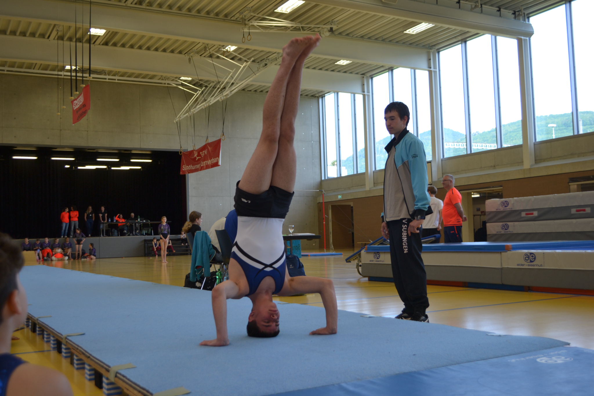 Bild (3)